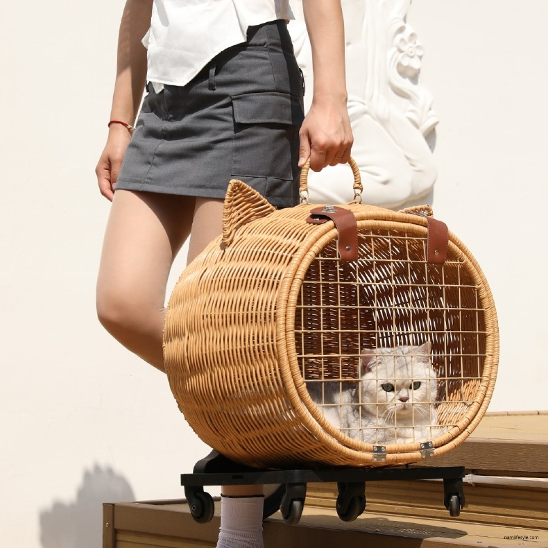 Cat Carriers 