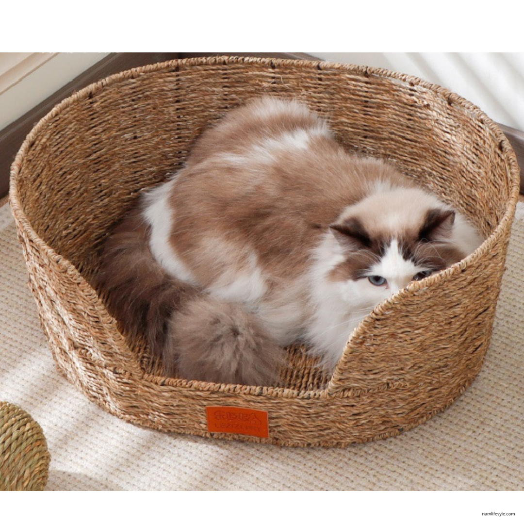 Cat bed