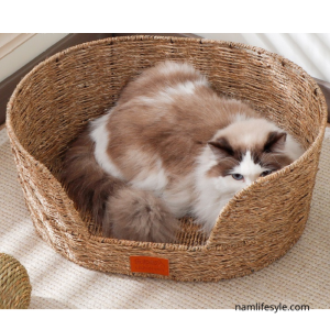 Cat bed
